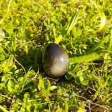 Bild von Yoni Ei - goldener Obsidian S